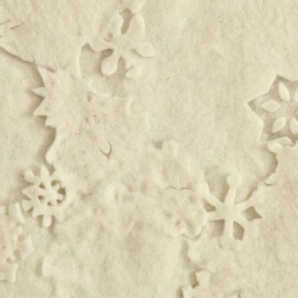 Detail Sneeuwdek