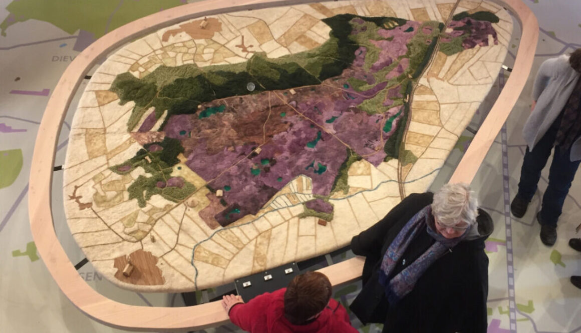Maquette Dwingelderveld