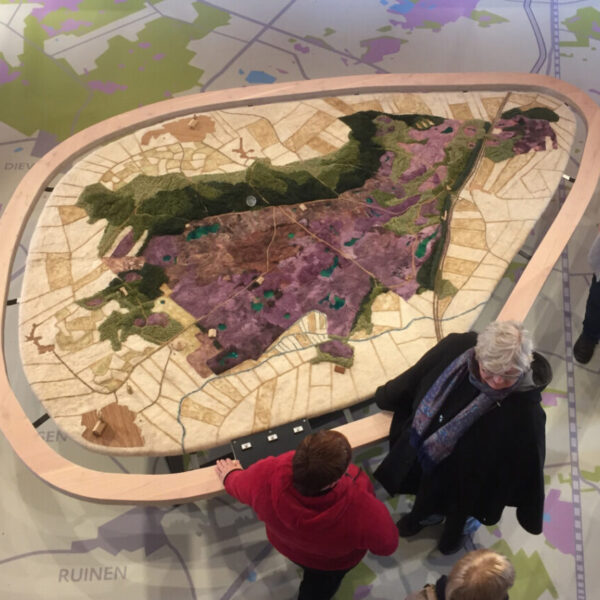 Maquette Dwingelderveld