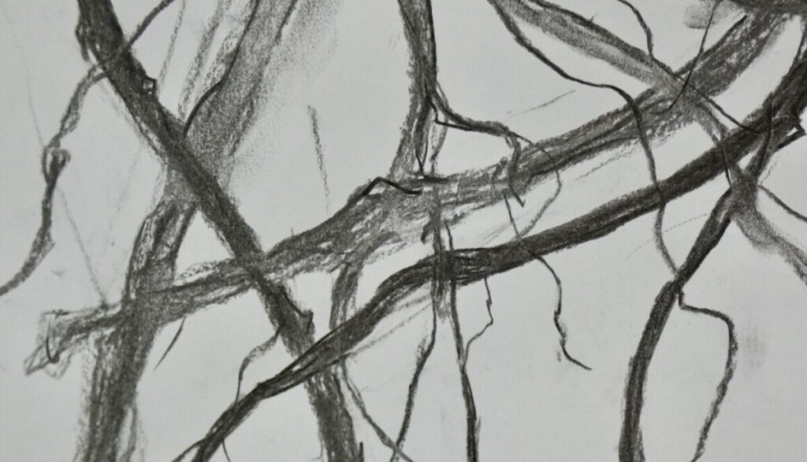Meekrap detail 1